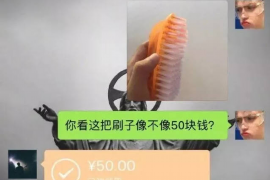 龙海为什么选择专业追讨公司来处理您的债务纠纷？